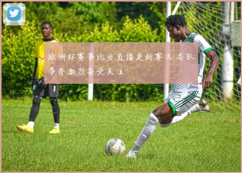 欧洲杯赛事比分直播更新赛况 各队争夺激烈备受关注