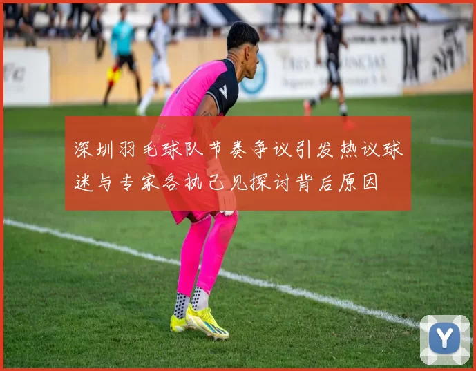 深圳羽毛球队节奏争议引发热议球迷与专家各执己见探讨背后原因