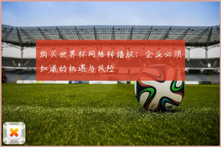 购买世界杯网络转播权:企业必须知道的机遇与风险
