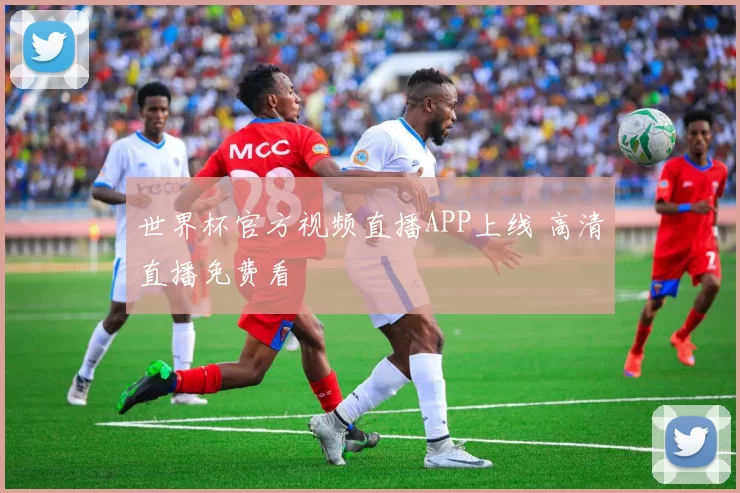世界杯官方视频直播APP上线 高清直播免费看