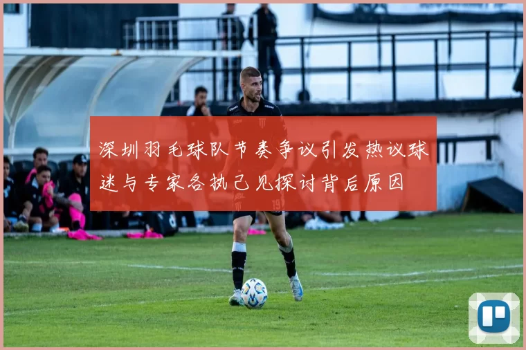 深圳羽毛球队节奏争议引发热议球迷与专家各执己见探讨背后原因