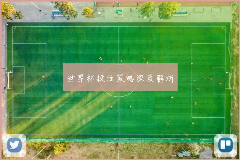 世界杯投注策略深度解析