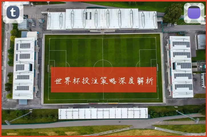 世界杯投注策略深度解析