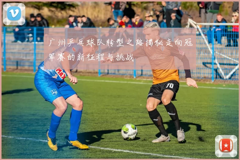 广州乒乓球队转型之路揭秘走向冠军赛的新征程与挑战