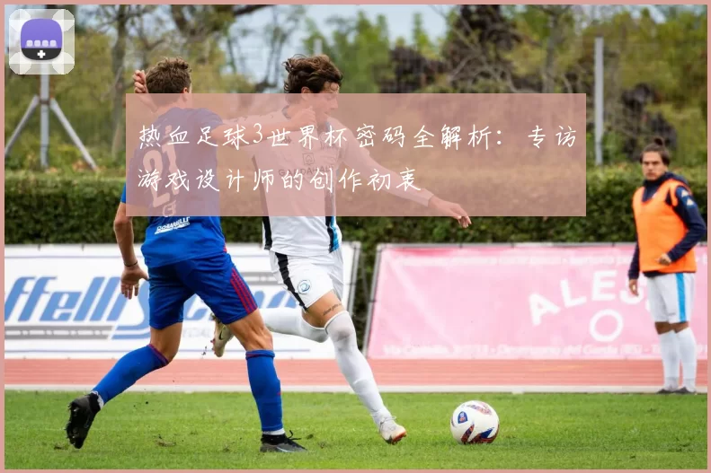 热血足球3世界杯密码全解析:专访游戏设计师的创作初衷