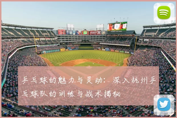 乒乓球的魅力与灵动:深入杭州乒乓球队的训练与战术揭秘