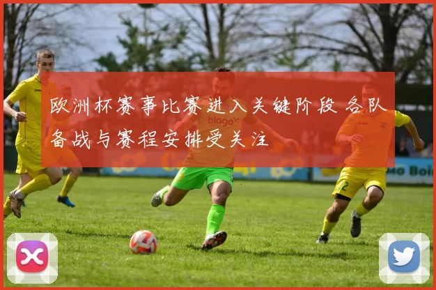 欧洲杯赛事比赛进入关键阶段 各队备战与赛程安排受关注